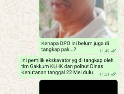 Kepala Balai GAKKUM Sumatra diminta tangkap DPO dan mafia Tanah kawasan hutan di Tapan, Pesisir selatan, Sumatra Barat