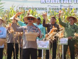 Komitmen Pati untuk Ketahanan Pangan: Dari Panen Raya hingga Target 180 Ribu Ton Jagung