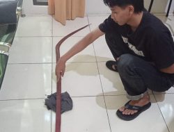 Polresta Pati Berhasil Amankan Enam Remaja Pembawa Senjata Tajam di Video Viral Sukolilo