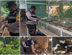 Bhabinkamtibmas Margomulyo bersama warga binaan Bangun Pekarangan Terintegrasi untuk Mendukung Ketahanan Pangan