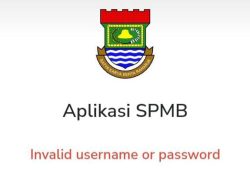 Lambatnya Verifikasi SPMB SMA/SMK Menjadi Perhatian Khusus Ombudsman Banten