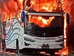 Bus Pahala Kencana Terbakar di Galis Diduga Angku tilegal, Tiga Penumpang Selamat