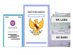 Simak Pembuatan KK Dan Akta Kelahiran Di Cetak di HVS