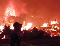 Si Jago Merah Lahap Pasar Lolak Bolmong Sulut