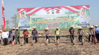 Dukung Ketahanan Pangan Nasional, Polres Lamongan Tanam Jagung di Lahan Baku Desa Kedali