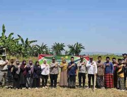 Polsek Kayen Tanam Jagung di Pondok Pesantren, Wujud Sinergi Polri dan Masyarakat