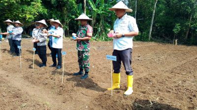 Sinergi Polri, Pemdes, dan Petani: Penanaman Jagung di Desa Kubang