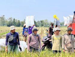 Direktur Idensos Densus 88 AT Lakukan Kunjungan Kerja ke PT Sang Hyang Seri Subang, Jalin Silaturahmi dengan Eks Napiter