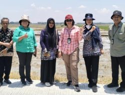 Dinas Pertanian Pati Terima Kunjungan Direktur Hilirisasi Hasil Tanaman Pangan