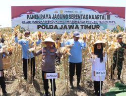 Komitmen Wujudkan Ketahanan Pangan Nasional, Kapolda Jatim Bersama Forkopimda Banyuwangi Gelar Panen Jagung Serentak 1.446 Ton