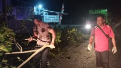 Polsek Pati Kota Evakuasi Pohon Tumbang di JLS, Arus Lalu Lintas Kembali Lancar