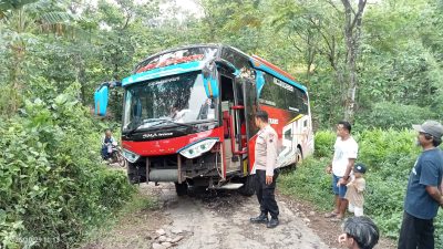 Bus Rombongan Ziarah Terperosok di Tanjakan Desa Plukaran Gembong, Tidak Ada Korban Jiwa