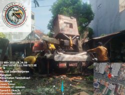 Hujan Lebat Guyur Surabaya, Pohon Besar Tumbang Timpa Rumah Warga di Raya Kenjeran 231