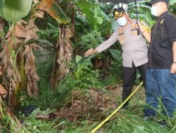 Temuan Mayat Tanpa Identitas di Semak Kebun Pisang, Polresta Tangerang Lakukan Penyelidikan