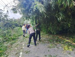 Gerak Cepat Polsek Balige Bersama BNPB dan Warga Bersihkan Jalan Raya dari Pohon Tumbang