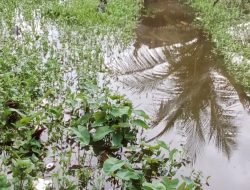 Warga Desa Kedaung Kecamatan Mekar Baru Keluhkan Banjir Akibat Drainase Tak Berfungsi