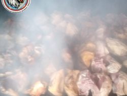 Tambak Wedi, Dapur Besar Ikan Pari Pasar Pabean