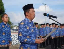 Wabup Toba Ajak ASN Mampu Perkuat Daya Saing Daerah