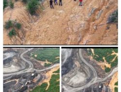 Ketua Umum AKPERSI Bongkar Fakta Lapangan: Aktivitas Tambang Diduga Berjalan di Atas Lahan Petani, PT Berau Coal Klaim Belum Digunakan