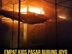 4 Kios di Pasar Burung Njoyo Kebakaran, Polisi Selidiki Penyebabnya