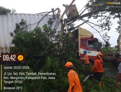 Truk Tronton Tersangkut Pohon di JLS Penambuhan, Polisi Bergerak Cepat Amankan Lalu Lintas