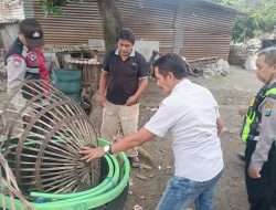 Polresta Sidoarjo Bongkar Dua Arena Sabung Ayam di Lokasi Berbeda