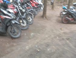 Polres Jombang Tutup Mata Marak Judi Sabung Ayam Ramai Tiap Akhir Pekan