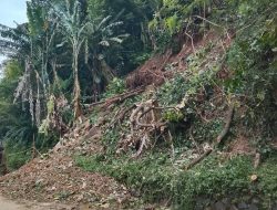 Hasil Pangamatan Langsung Jrnalis, Akses Jalan Batu Hideung Lasem Longsor