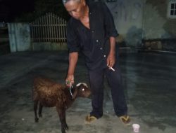 Kambing Setia Ikuti Langkah Bos Suminta, Kisah Sederhana yang Menyentuh Warga