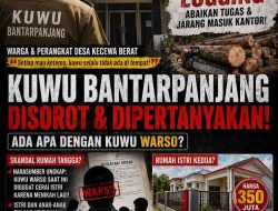 Kinerja Kuwu Bantarpanjang Disorot: Dugaan Ilegal Logging hingga Minimnya Kehadiran di Kantor Desa