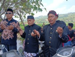 Sedekah Bumi Desa Wegil Meriah, Warga Gelar Pemotongan Kerbau dan Wayang Kulit