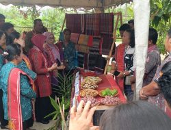 Tim TP PKK Provsu Monitoring Desa Binaan Kabupaten Toba