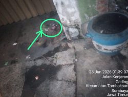 Pencurian Bak Sampah di Jalan Kenjeran, Masuk Wilayah Hukum Polsek Tambaksari