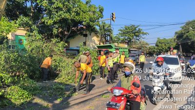 Polresta Pati Gerak Cepat Evakuasi Pohon Tumbang di Jalan Sunan Kalijaga, Arus Lalu Lintas Kembali Normal