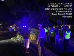Kapolresta Turun langsung, Respons Cepat Pohon Trembesi Tumbang, Arus Lalu Lintas di Jalan Diponegoro Kembali Normal