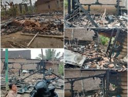 Si Jago Merah Mengamuk, Rumah Kayu Milik Haryati Komala Sari Ludes Terbakar