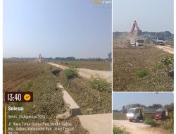 Modus Baru Cari Cuan dari Tanah Sawah di Pati, Satu Muatan Truk Laku Hingga Rp300 Ribu