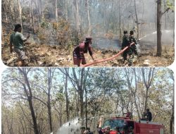 Gerak Cepat Babinsa Bersama Yonif TP 886/PJY Padamkan Kebakaran Lahan di Banyuurip