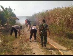 Polisi Pati Turun Tangan Padamkan Kebakaran Lahan Tebu di Margorejo