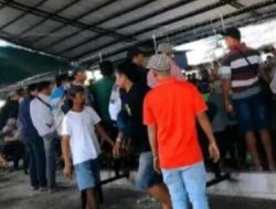 Diduga Arena Sabung Ayam Beroperasi di Klurak Candi, Warga Minta Polisi Bertindak