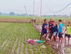 Ibu dan Anak Tewas di Sawah, Diduga Terjerat Jebakan Tikus Beraliran Listrik