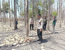 Sinergi Cegah Karhutla, Polres Bojonegoro Sisir Kawasan Rawan di Kedungadem