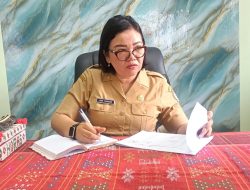 Jaga Ketahanan Pangan, Kabupaten Toba Terus Cetak Surplus Beras