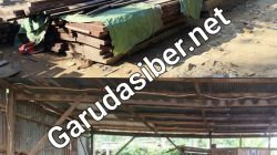 Terbongkar, Serkal dan Penumpukan kayu disegel oleh tim Gakkum di Balikpapan