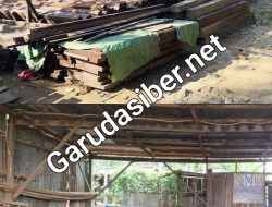 Terbongkar, Serkal dan Penumpukan Kayu Disegel oleh Tim Gakkum di Balikpapan