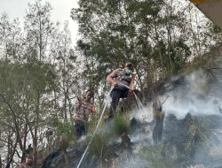 Personel BKO Polda Jatim Gerak Cepat Padamkan Titik Api, Cegah Karhutla TNBTS Meluas